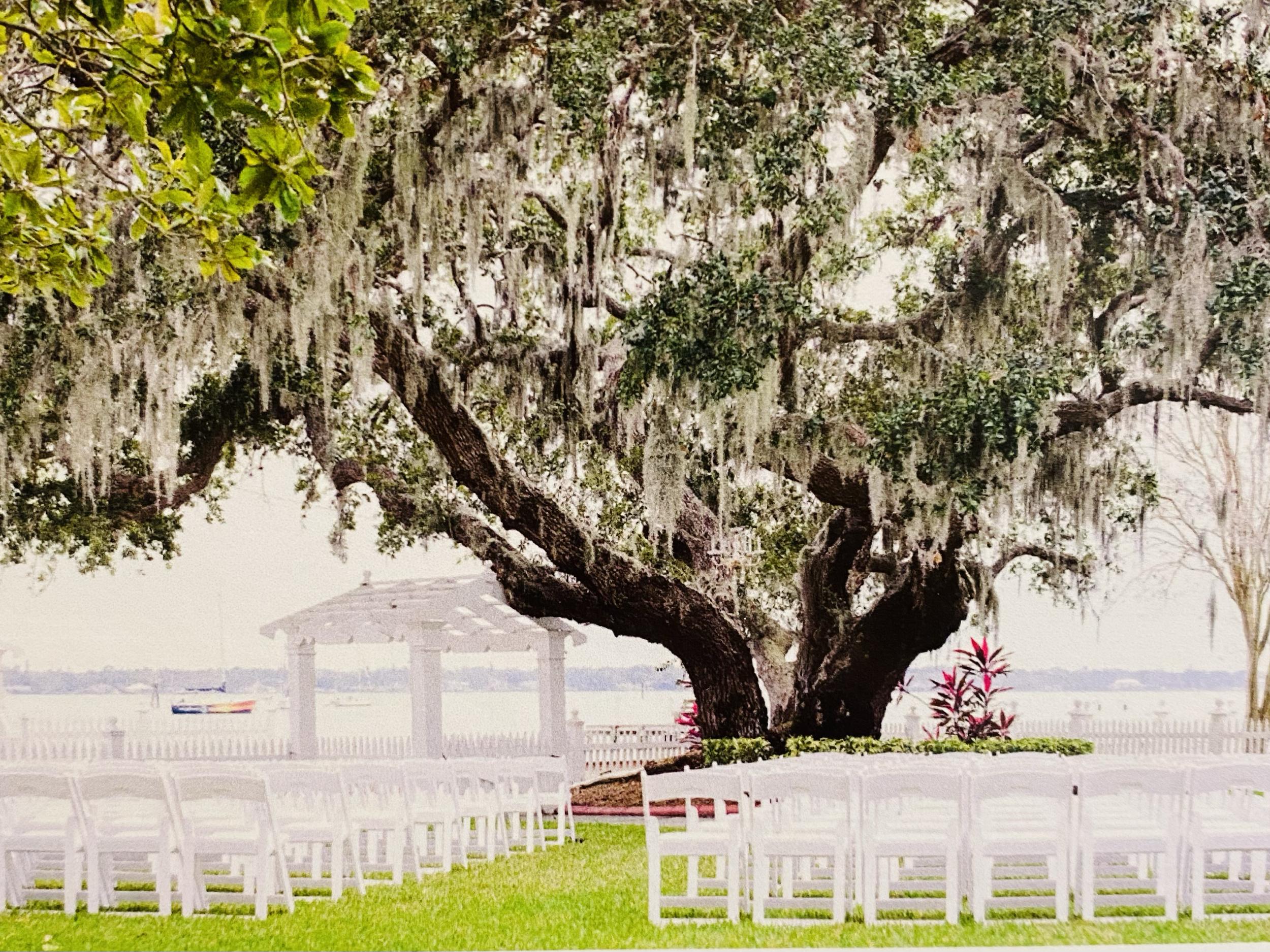 The Wedding Website of Kailyn Conner and Cody Willette