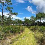 Myakka State Forest