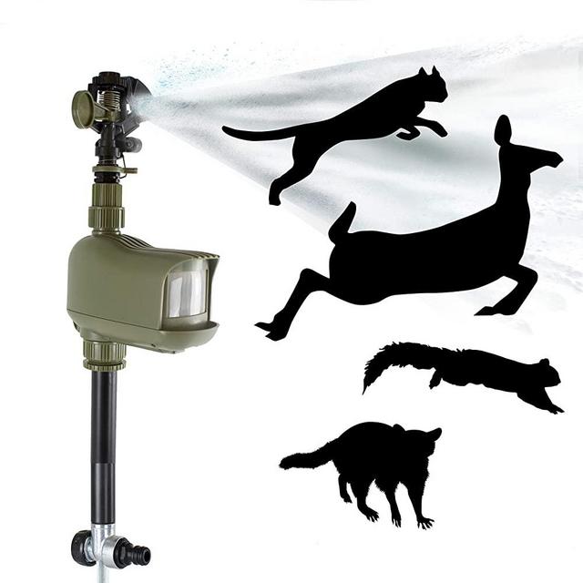 Havahart 5277 Motion-Activated Animal Repellent & Sprinkler, 1 Pack, Green