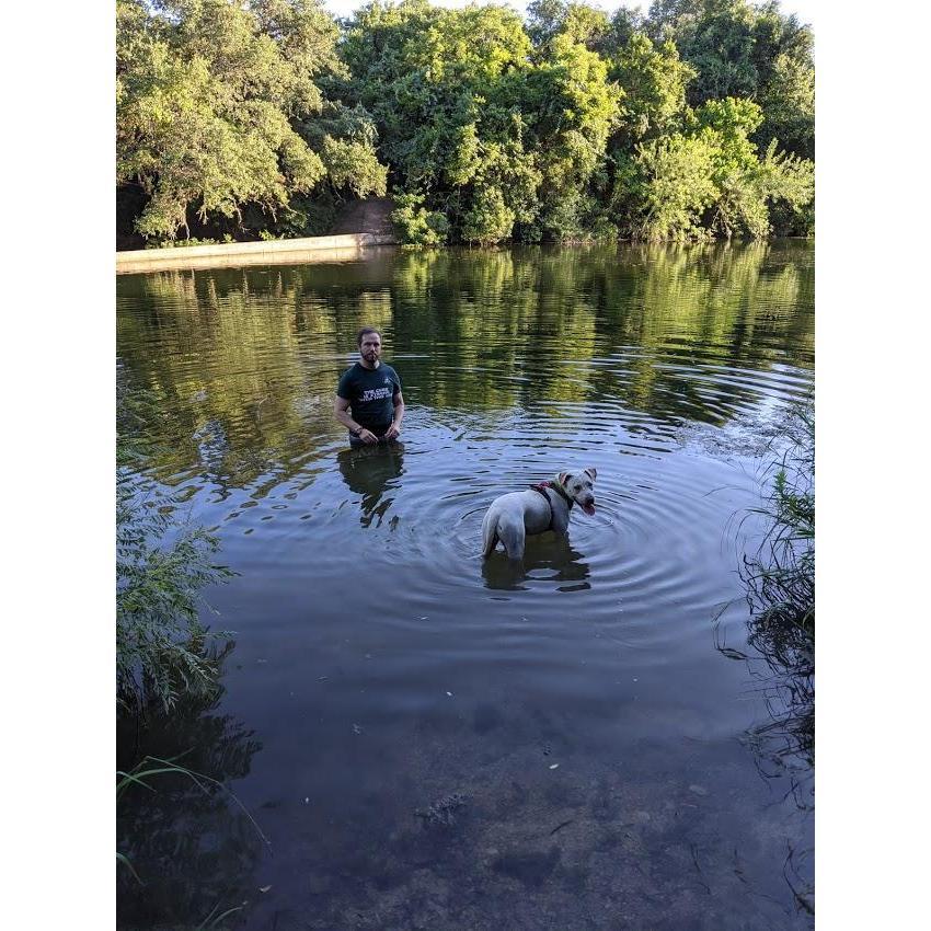 Gus's first swim, where Steve did the vast majority of the getting wet and swimming thing