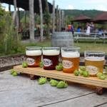 Ithaca Beer Co