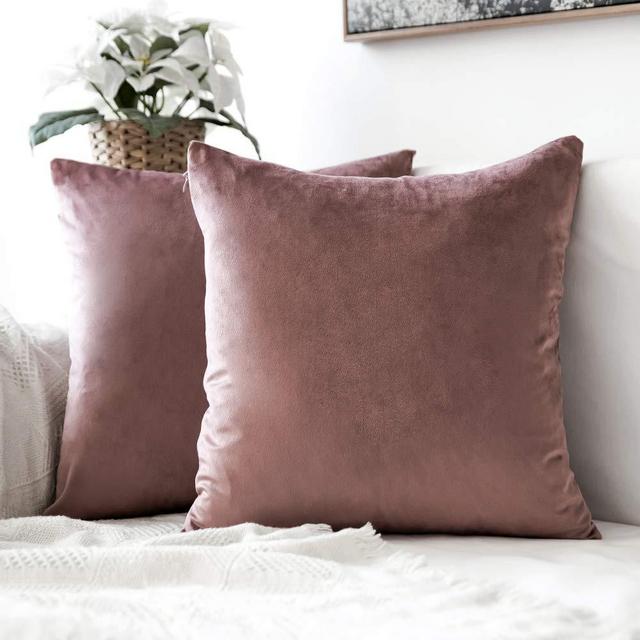 MIULEE Pack of 2 Velvet Pillow Covers Decorative Square Pillowcase Soft Solid Cushion Case for Sofa Bedroom Car 12 x 12 Inch Jam