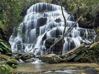 Yellow Branch Falls Trail