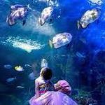 Virginia Aquarium & Marine Science Center