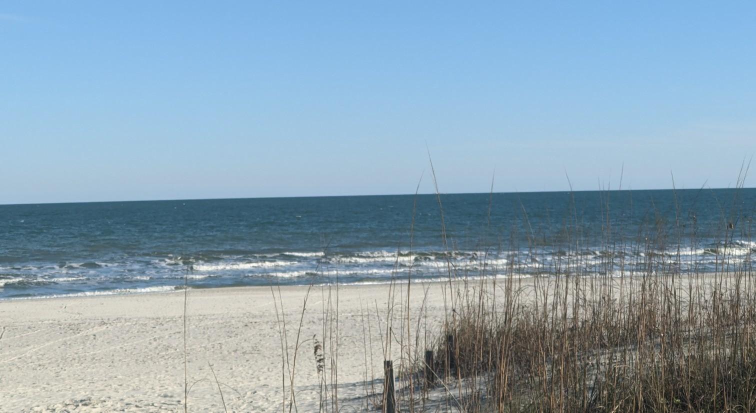 The Wedding Website of Kristen Albright and Dave Wheeler