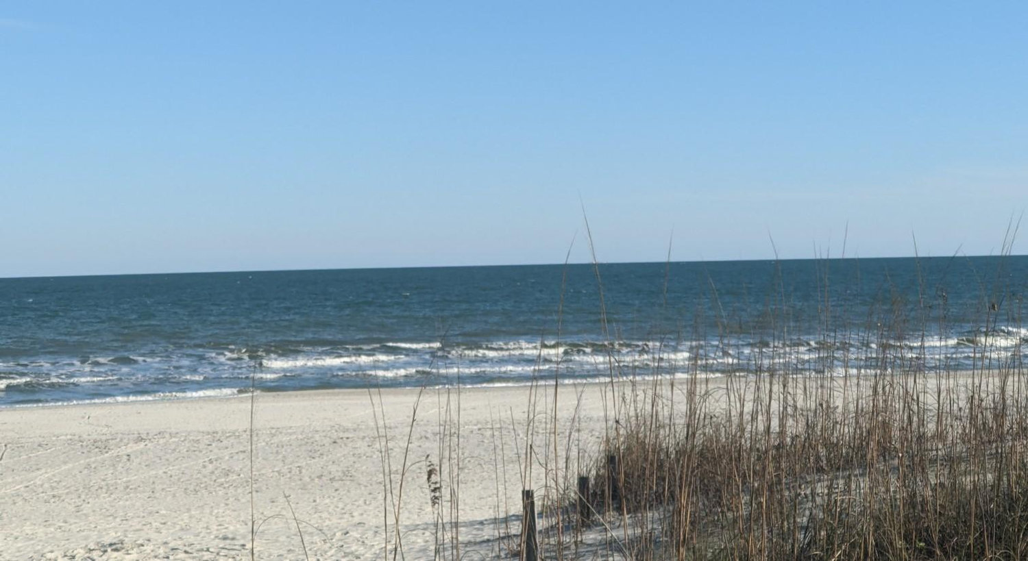 The Wedding Website of Kristen Albright and Dave Wheeler