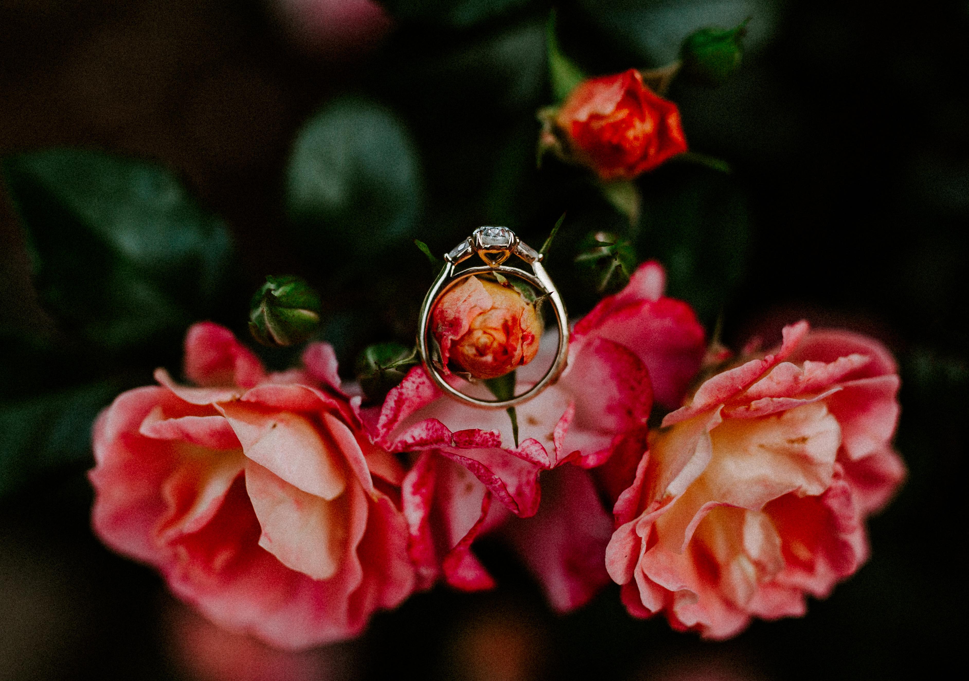 The Wedding Website of Kara Prewitt and William Parker
