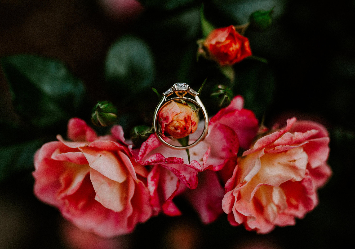 The Wedding Website of Kara Prewitt and William Parker