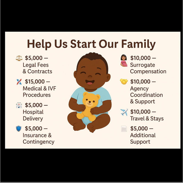 Our Surrogacy Journey Fund 👨‍❤️‍👨👶✨