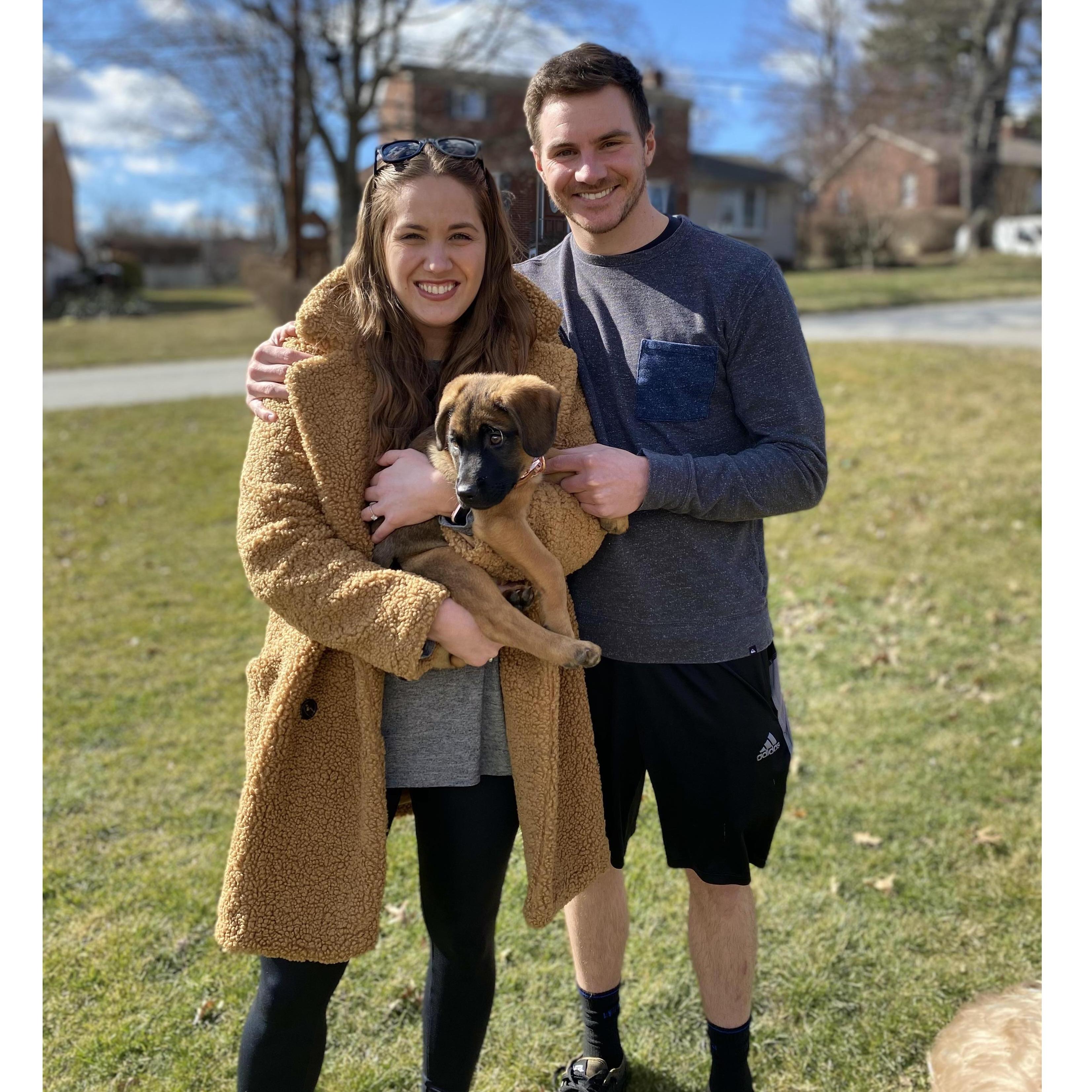 Sadie's Gotcha Day - 3/6/21