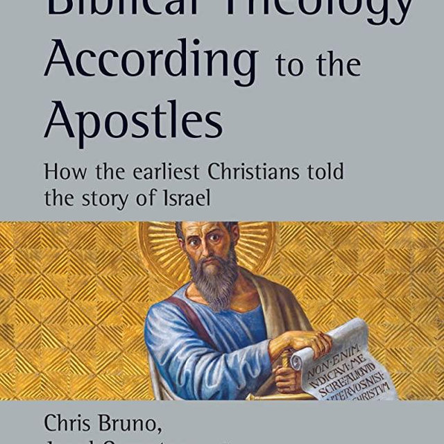 Biblical Theology According to the Apostles: How the Earliest Christians Told the Story of Israel (New Studies in Biblical Theology, Volume 52)