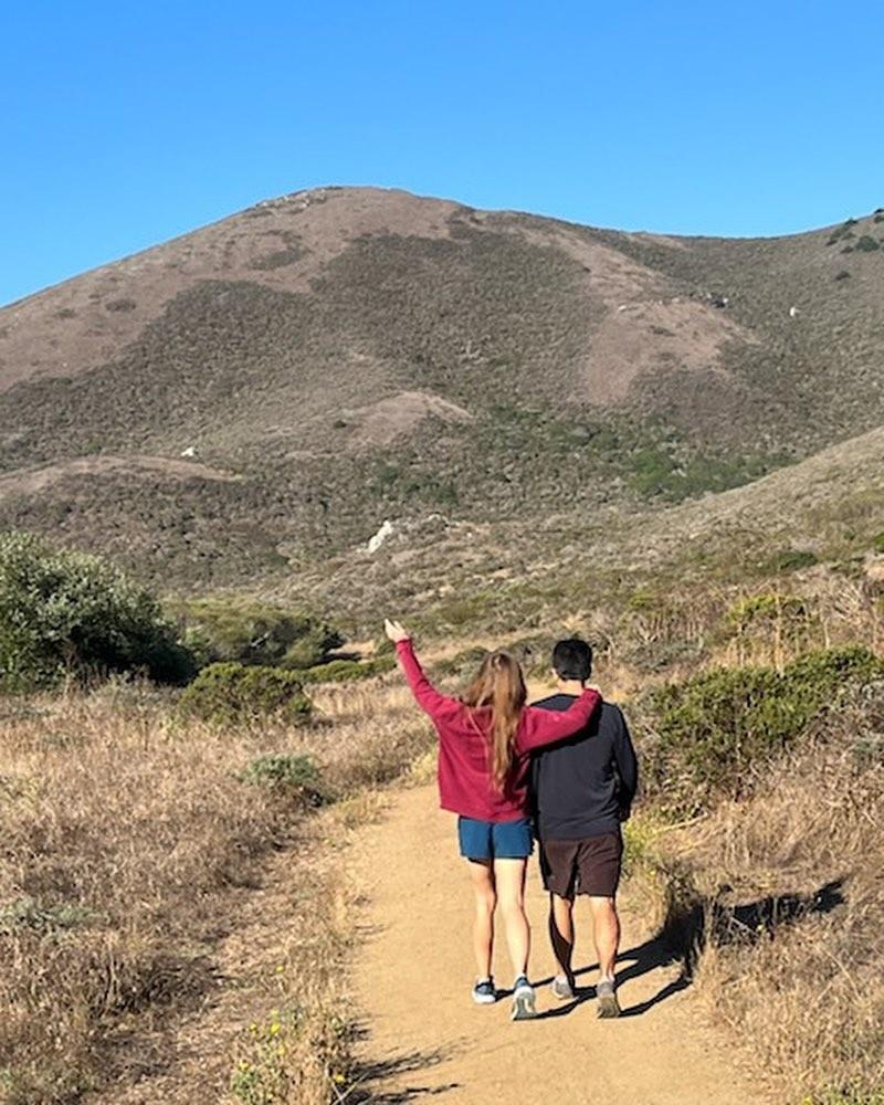 6e755f8a-c501-4335-8ba4-68b5a0757754