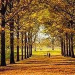 St. James Farm Forest Preserve