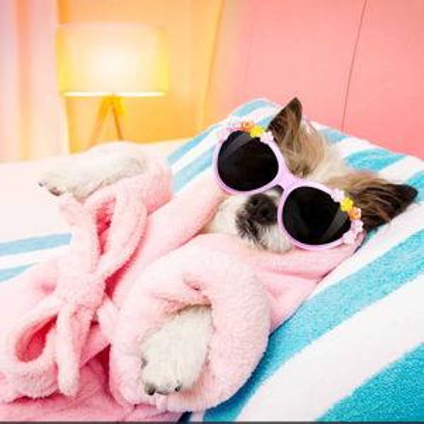 Spa day - massages & pampering