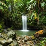 El Yunque National Forest