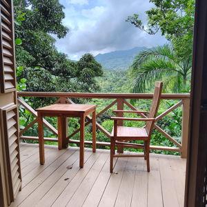 $345 Day 3 Stay in Romantic Rainforest Treehouse