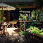 Ramos House Cafe
