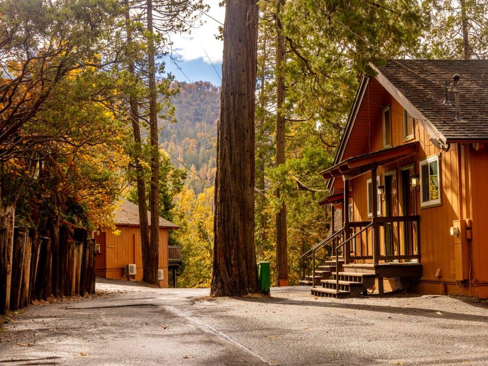 The Wedding Website of Mirela Paat and Sung Kim