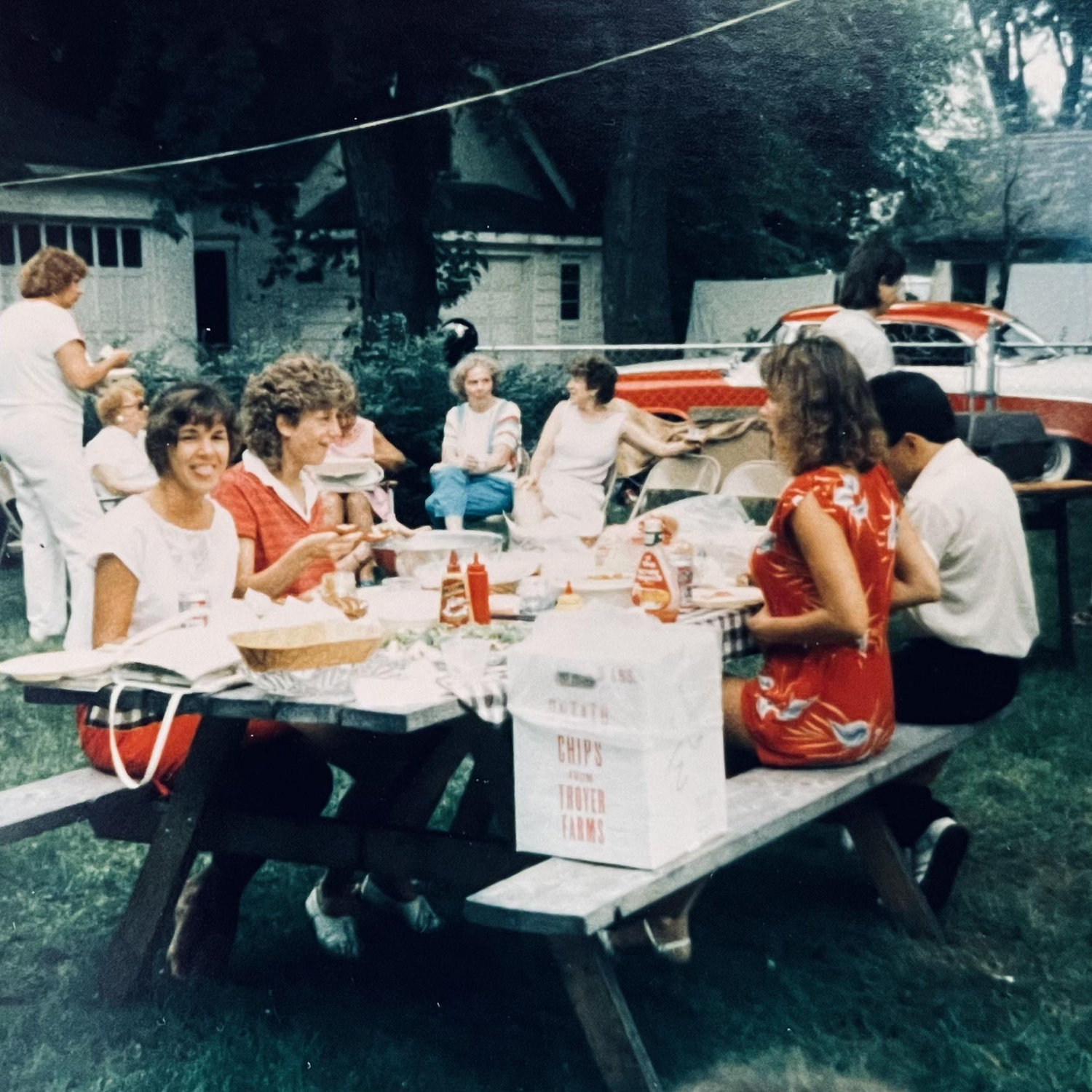 Pat, Carolyn, Kathy, Virginia, Beverley, John, Francisco, Susan - 547 Backyard