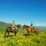 A-OK Corral Horseback Rides