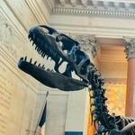 American Museum of Natural History