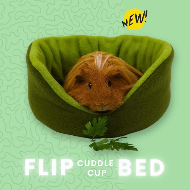 Guinea Pig Fleece Cuddle Cup Bed: Reversible Lounge Pad
