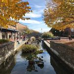 Carroll Creek Park