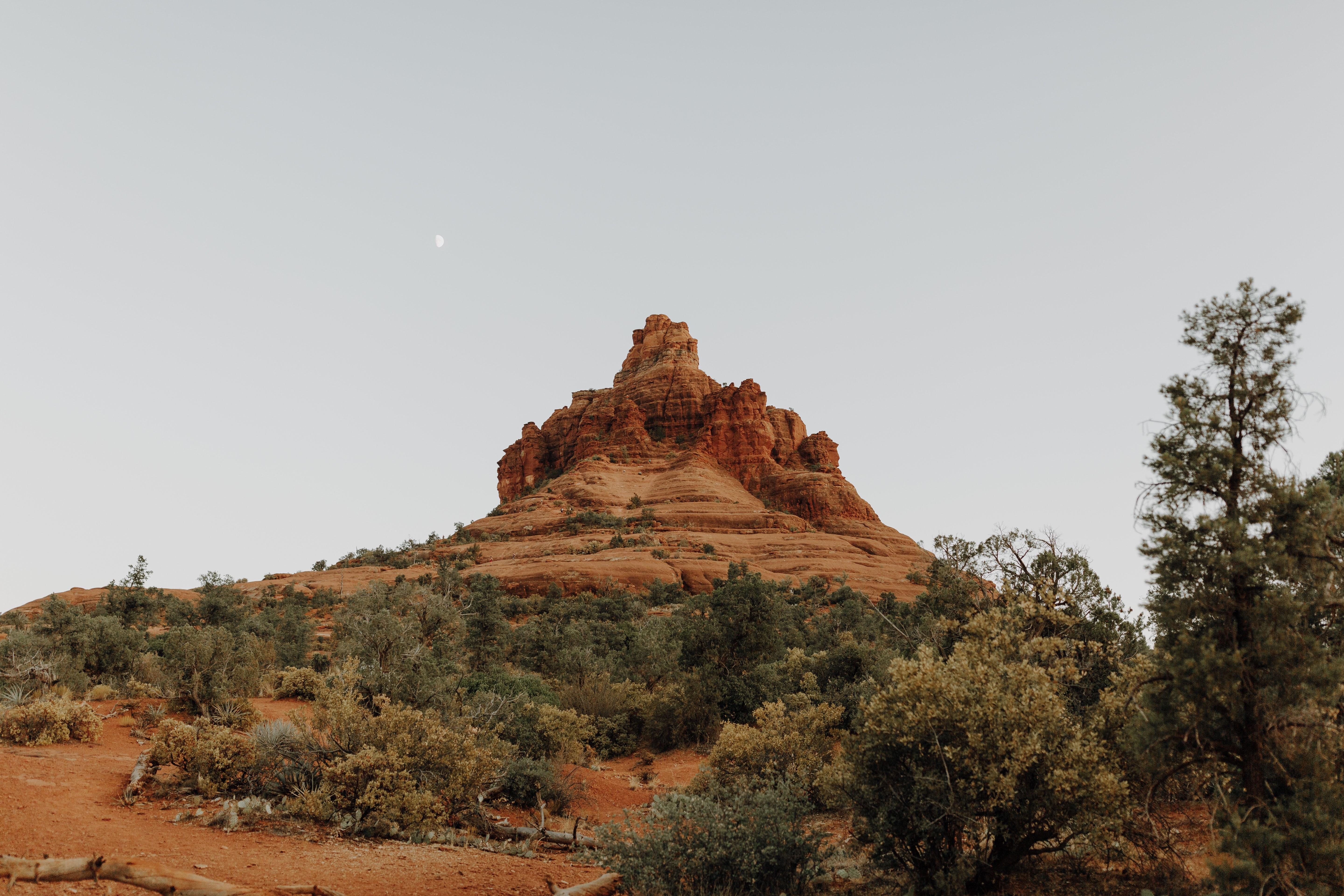 The Wedding Website of Sarah Bower and Ryan Schalow