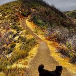 Glen Eden Trail Head (East)