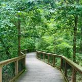 Congaree National Park