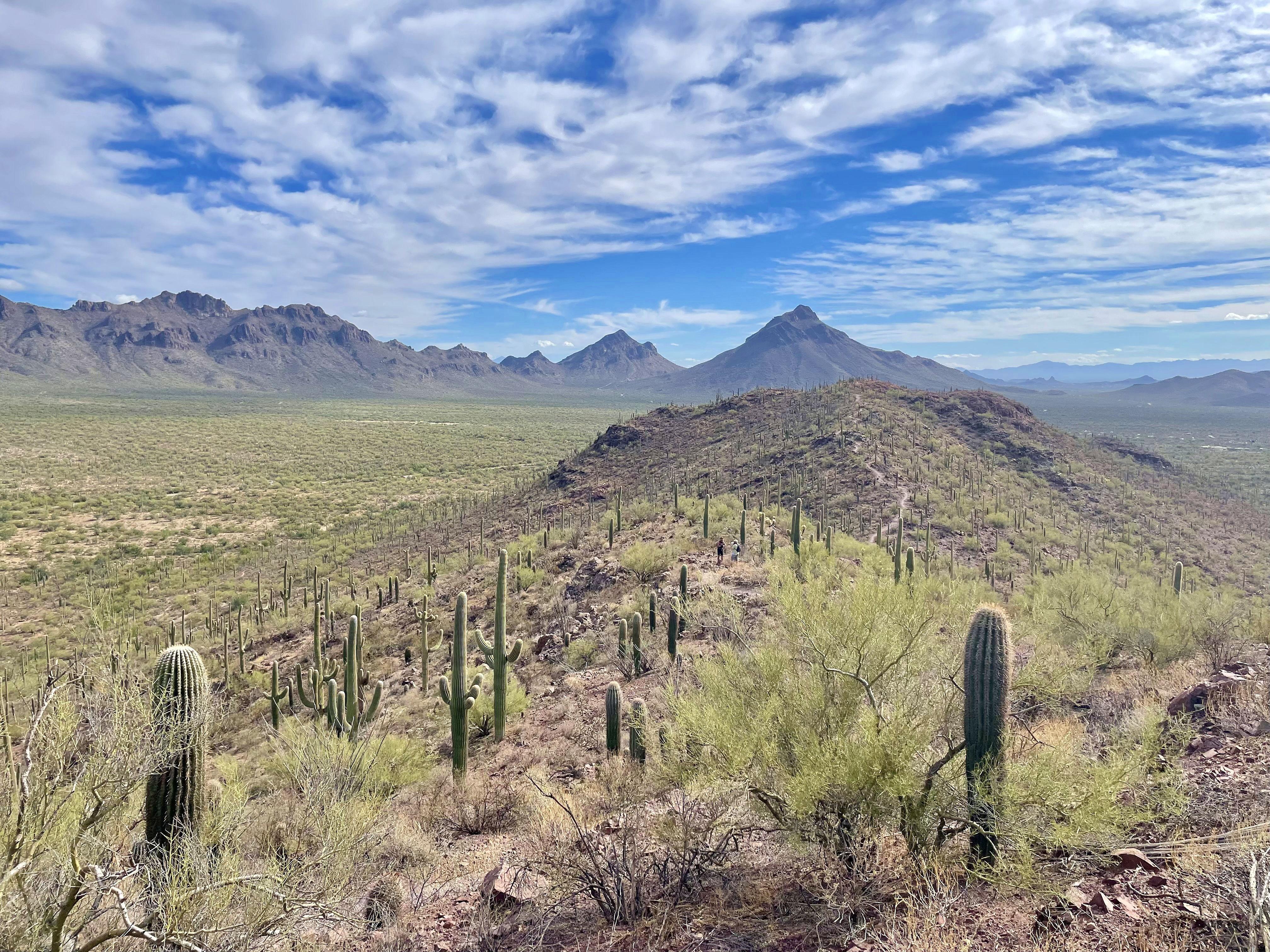 The Wedding Website of Laura Newberry and Lindsay Mulcahy