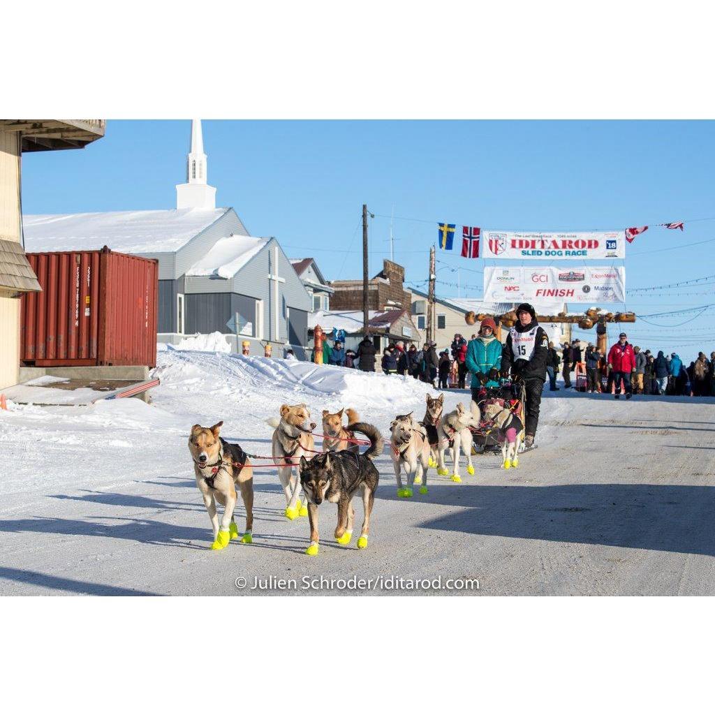 We made it to Nome. 2018