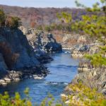 D.C. Area Hikes