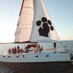 Nauti Cat Cruises