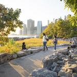 Brooklyn Bridge Park