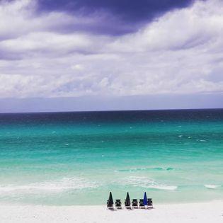 The Wedding Website of Alice Reynolds and Thomas Farrell