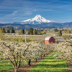 Hood River County Fruit Loop
