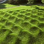 Wave Field