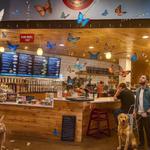 Just Love Coffee Cafe - Georgetown