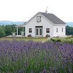 Lockwood Lavender Farm