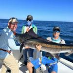 Mas Picudos Charters - Fishing Activities