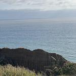 Torrey Pines
