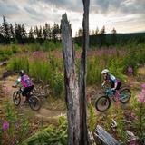 Galbraith Mountain and Padden Trails Parking Lot