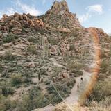 Hiking trail - Easy