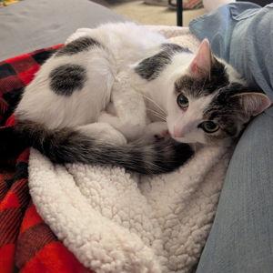 Luna fund