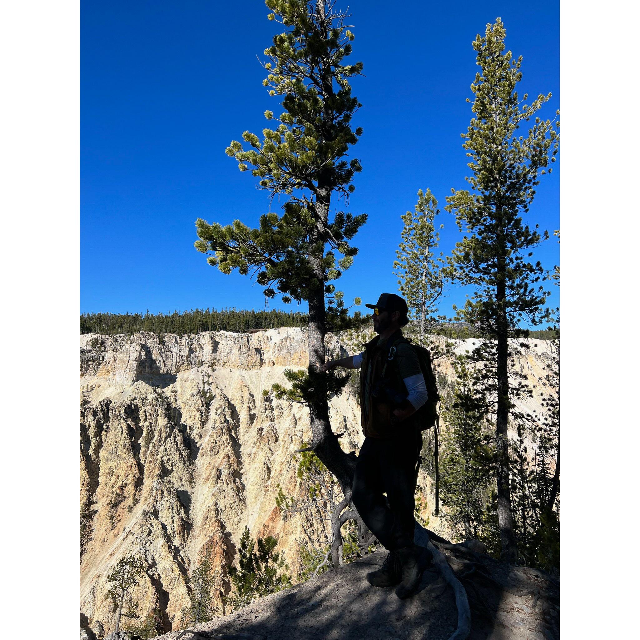 Overlooking Yellowstone falls