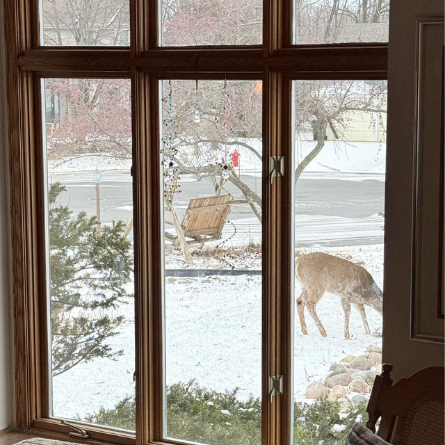 New Window Screens