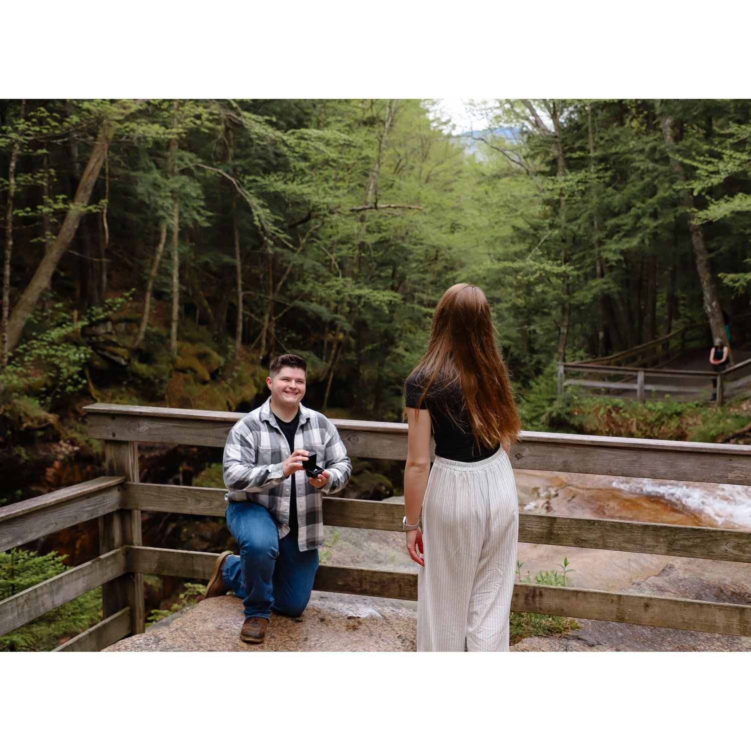 Proposal