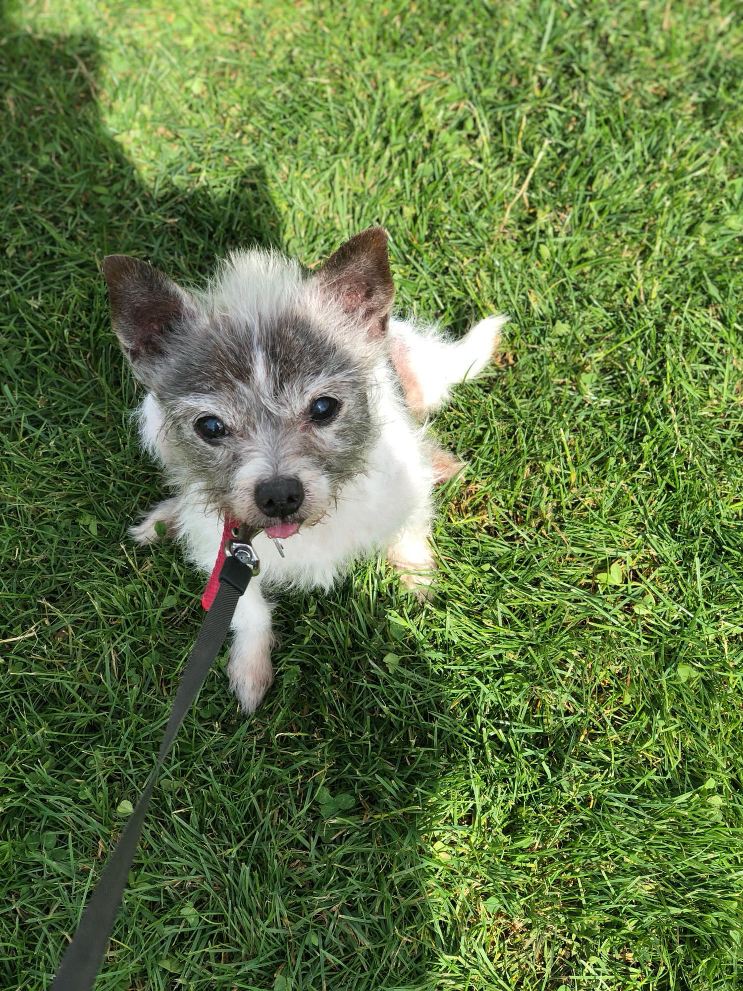 Our Maggie Moo