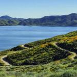 Diamond Valley Lake Marina